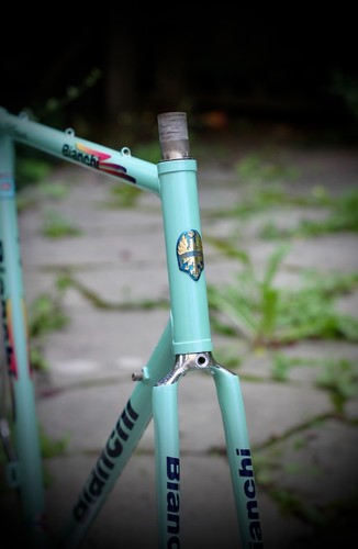 Bianchi specialissima frame - bianchi,