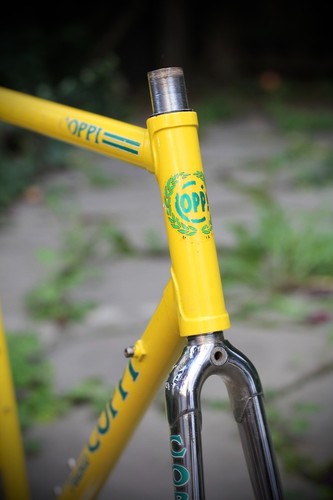 Fausto coppi team polti frame - fausto,
