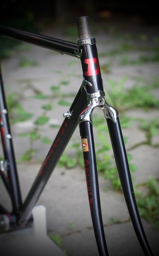 Daccordi classico frame - daccordi,
