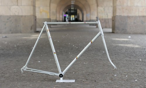 Gazelle champion mondial - gazelle,