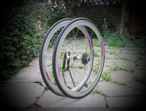 Campagnolo shamal hpw - shamal, 12
