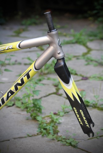 Giant tcr team once - team, frame
