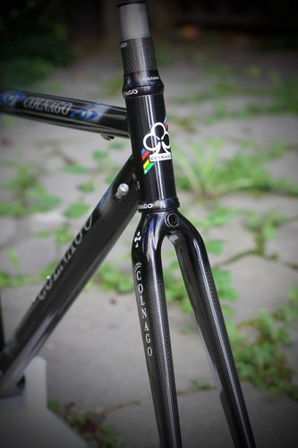 Vvgc colnago dream stay - vvgc,