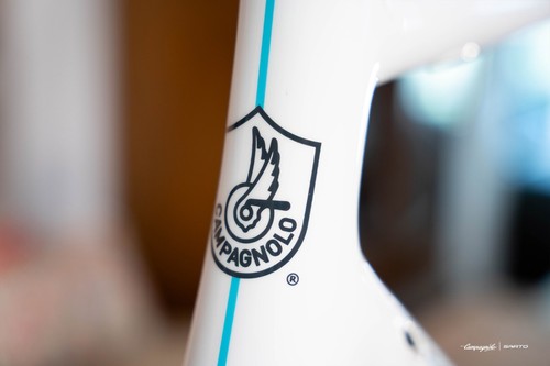 Sarto campagnolo limited - sarto,