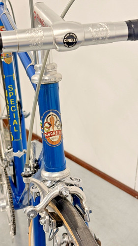 Pinarello special handmade - special,