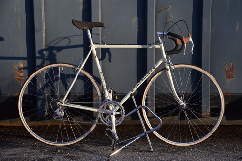 Gazelle champion frame - gazelle,