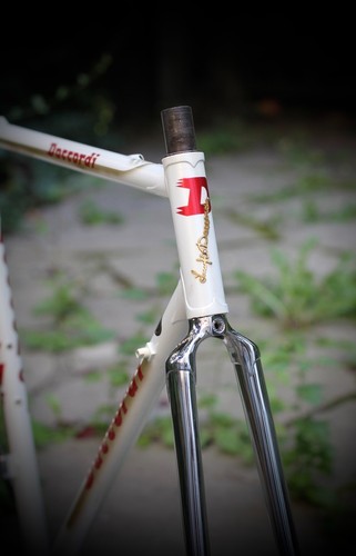 Daccordi grips frame - frame, b710