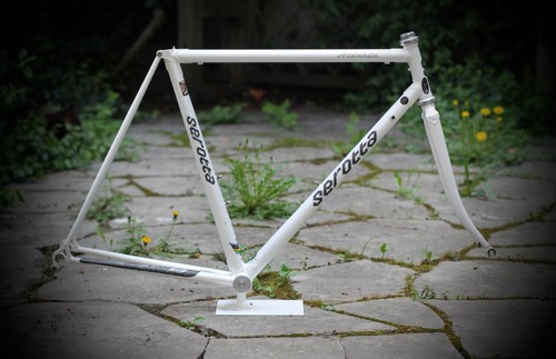 Serotta atlanta 25th - serotta,